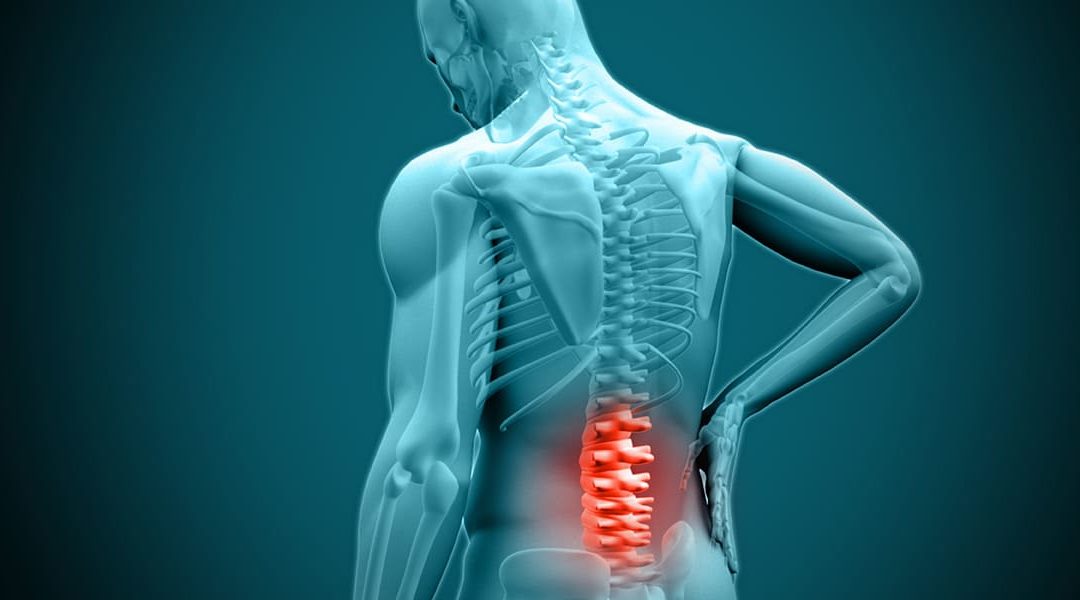 Human figure with highlighted lower back area, illustrating herniated disk symptoms related to back pain and chiropractic care.